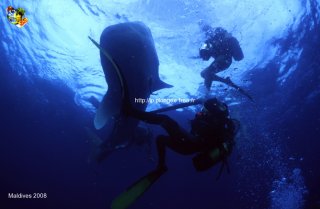 Maldives