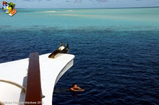 Maldives mercredi 20 février 2013 05:25:12 