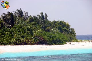 Maldives jeudi 28 février 2013 09:25:46 