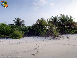 Maldives dimanche 24 février 2013 13:28:12 