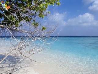 Maldives jeudi 28 février 2013 11:31:12 