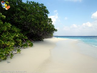 Maldives jeudi 28 février 2013 11:31:44 