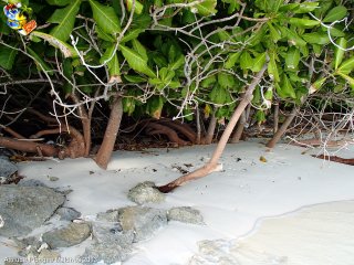 Maldives jeudi 28 février 2013 11:54:40 