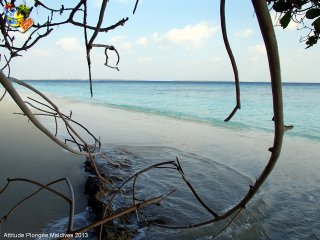 Maldives jeudi 28 février 2013 11:55:23 
