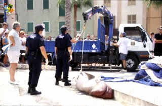 Mallorca
