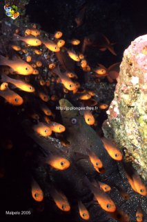 Malpelo mercredi 31 décembre 1969 18:00:00 