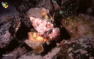 Malpelo mercredi 31 décembre 1969 18:00:00 