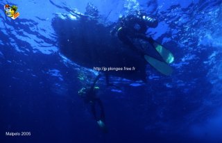 Malpelo mercredi 31 décembre 1969 18:00:00 