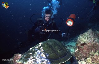 Malpelo mercredi 31 décembre 1969 18:00:00 