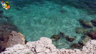 Marseille lundi 25 mai 2015 11:59:16 