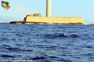 Marseille lundi 25 mai 2015 14:50:01 