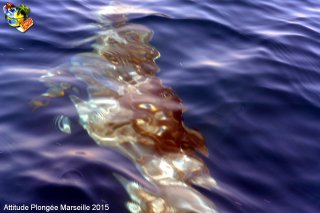 Marseille lundi 25 mai 2015 14:57:31 