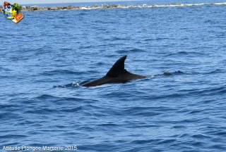 Marseille lundi 25 mai 2015 14:50:20 