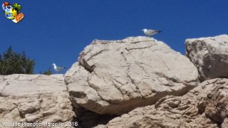 Marseille mardi 3 mai 2016 14:57:58 