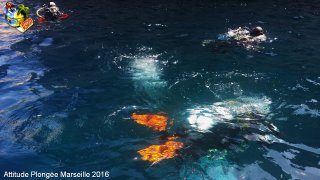 Marseille samedi 7 mai 2016 14:46:48 
