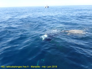Marseille samedi 1 juin 2019 09:33:11 