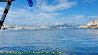 web-20190526_164822