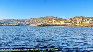 web-20190601_072707