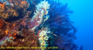 Marseille jeudi 30 mai 2019 09:29:23 