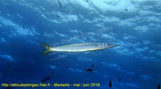 Marseille lundi 27 mai 2019 14:10:14 