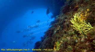 Marseille mardi 28 mai 2019 15:57:51 