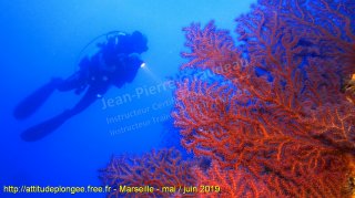 Marseille dimanche 2 juin 2019 08:44:36 