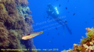 Marseille dimanche 2 juin 2019 09:26:07 