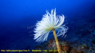 Marseille lundi 27 mai 2019 14:00:21 