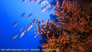 Marseille mardi 28 mai 2019 15:44:20 