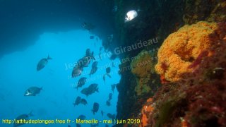 Marseille mardi 28 mai 2019 15:58:04 