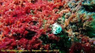 Marseille mardi 28 mai 2019 15:58:29 