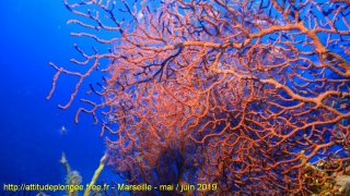 Marseille mercredi 29 mai 2019 14:26:54 