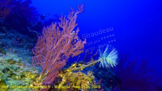 Marseille jeudi 30 mai 2019 09:29:44 