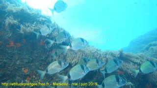Marseille jeudi 30 mai 2019 09:57:38 
