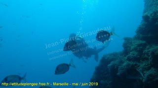 Marseille jeudi 30 mai 2019 09:58:21 