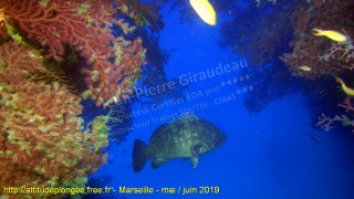 Marseille jeudi 30 mai 2019 14:34:17 