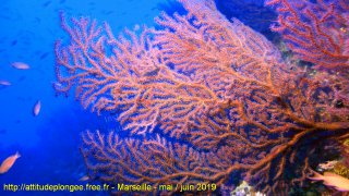 Marseille vendredi 31 mai 2019 09:04:58 