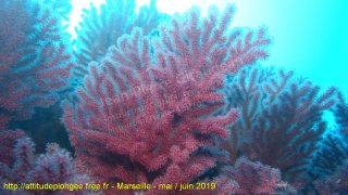 Marseille vendredi 31 mai 2019 09:07:37 