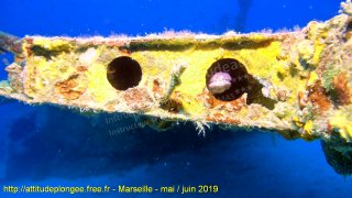 Marseille vendredi 31 mai 2019 14:26:56 