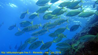 Marseille samedi 1 juin 2019 08:59:10 