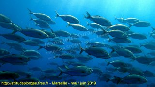 Marseille samedi 1 juin 2019 09:01:55 
