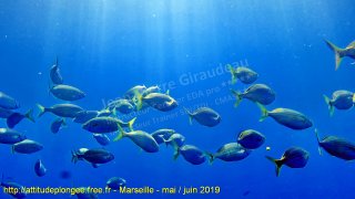 Marseille samedi 1 juin 2019 09:04:35 