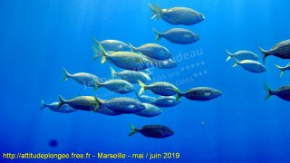 Marseille samedi 1 juin 2019 09:04:40 