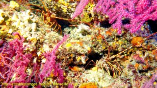 web-dsc02368