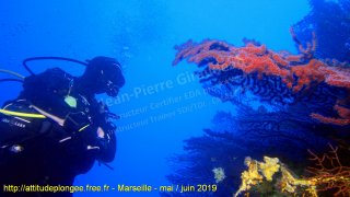 Marseille dimanche 2 juin 2019 08:49:42 