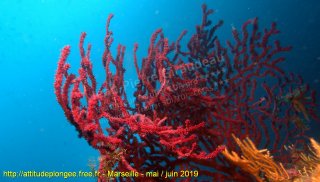 Marseille mardi 28 mai 2019 15:39:04 