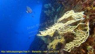 Marseille mardi 28 mai 2019 15:57:25 