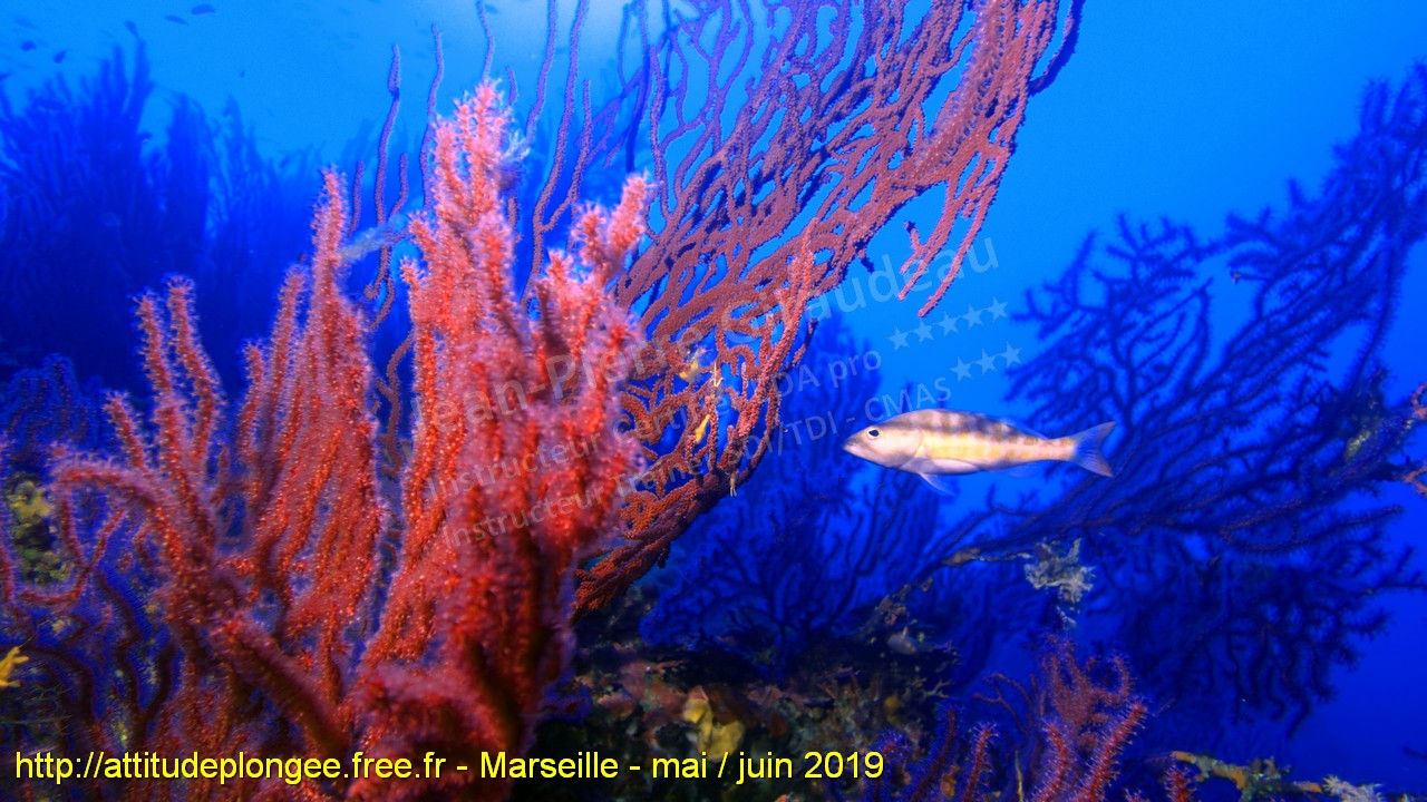 L'Aventure c'est facile… Il suffit de vouloir !!!