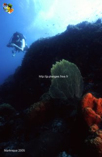 Martinique