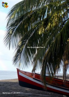 Martinique